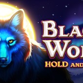 Black Wolf