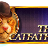 더 캣파더™