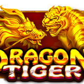 드래곤 타이거™