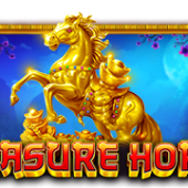 트레져 호스™