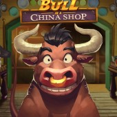 Bull in a China Shop
